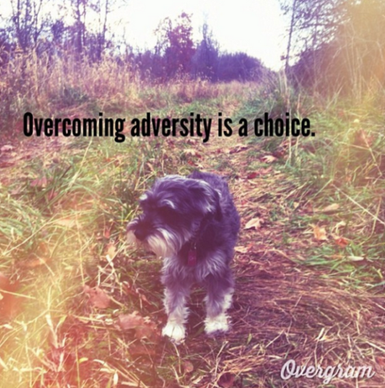 cc licensed image shared by flickr user Brian Ford